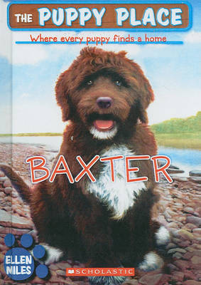 Book cover for Baxter