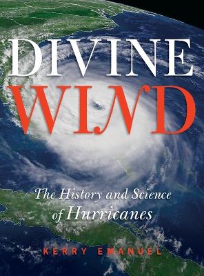 Book cover for Divine Wind