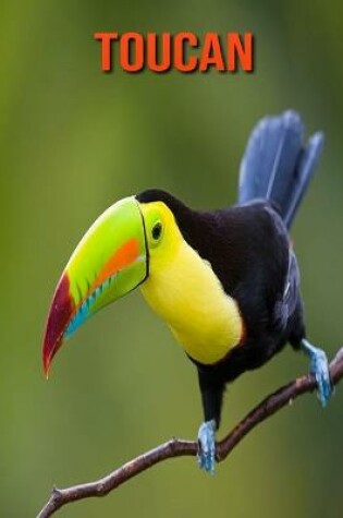 Cover of Toucan