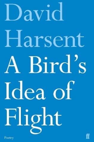 Cover of A Bird's Idea of Flight