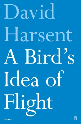 Book cover for A Bird's Idea of Flight