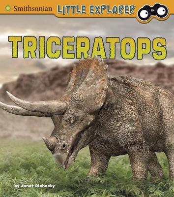 Book cover for Triceratops (Little Paleontologist)