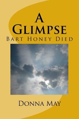 Book cover for A Glimpse