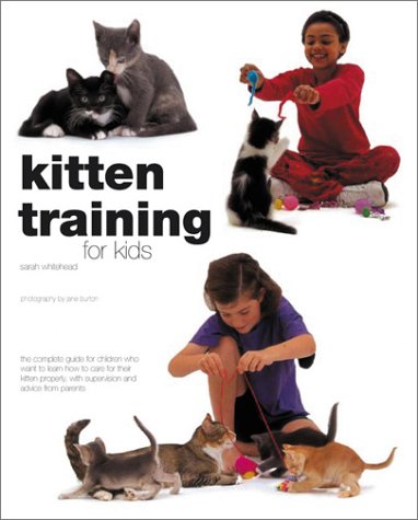 Book cover for Kitten Training for Kids