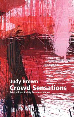 Book cover for Crowd Sensations