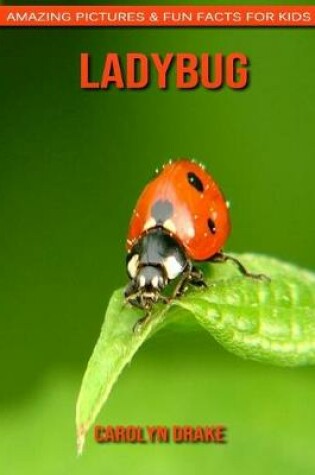 Cover of Ladybug