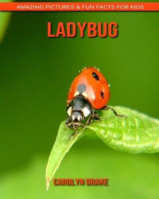 Book cover for Ladybug