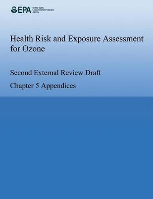 Book cover for Health Risk and Exposure Assessment for Ozone