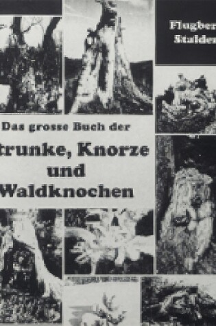 Cover of Das Grosse Buch der Strunke