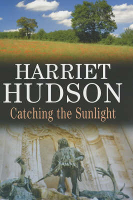 Book cover for Catching the Sunlight