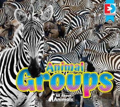 Cover of All about Animals - Animal Groups