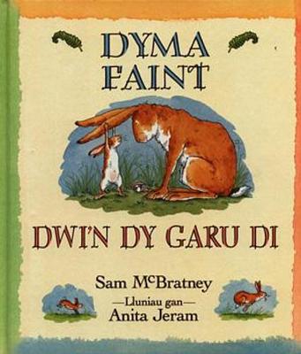 Book cover for Dyma Faint Dwi'n dy Garu Di