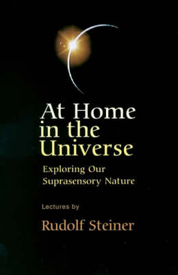 Book cover for At Home in the Universe