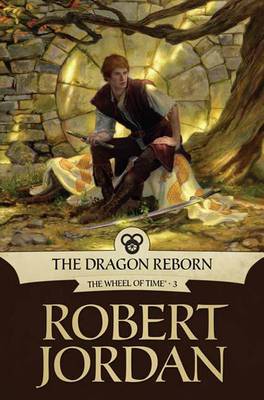 Book cover for The Dragon Reborn