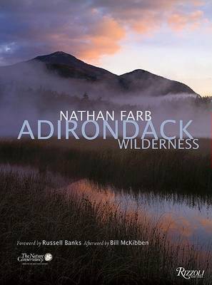 Book cover for Adirondack
