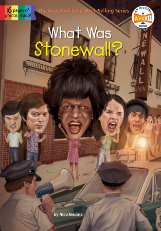 Book cover for What Was Stonewall?