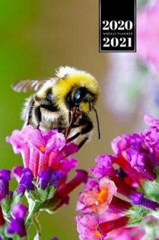 Cover of Bee Insects Beekeeping Beekeeper Week Planner Weekly Organizer Calendar 2020 / 2021 - Perching on Flower