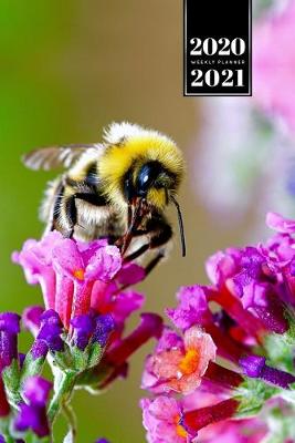 Book cover for Bee Insects Beekeeping Beekeeper Week Planner Weekly Organizer Calendar 2020 / 2021 - Perching on Flower