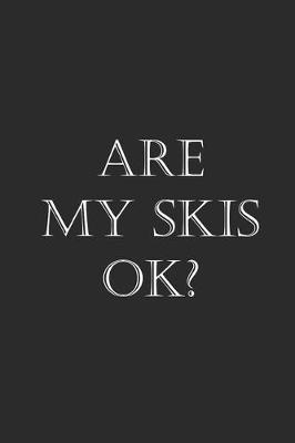 Book cover for Are My Skis Ok?