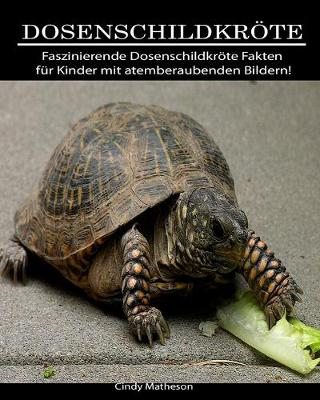 Book cover for Dosenschildkroete