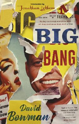 Book cover for Big Bang