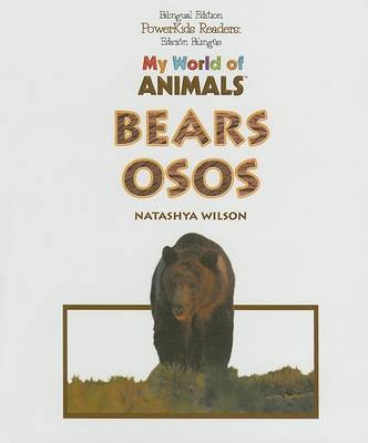 Book cover for Bears / Osos