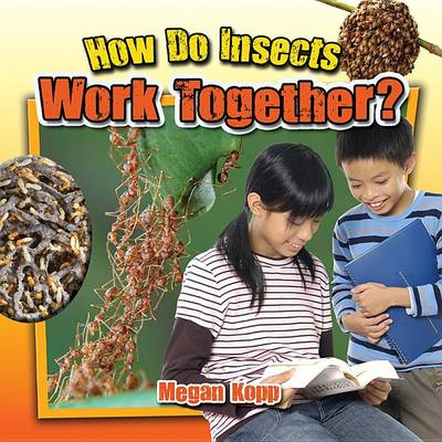 Book cover for How Do Insects Work Together?