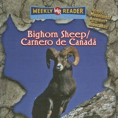 Book cover for Bighorn Sheep / Carnero de Canadá