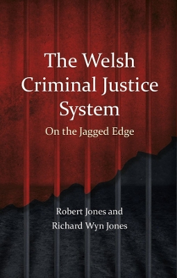 Book cover for The Welsh Criminal Justice System