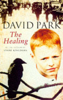 Book cover for The Healing