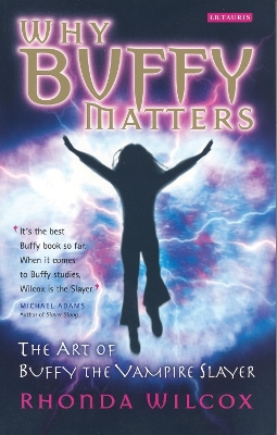 Book cover for Why Buffy Matters