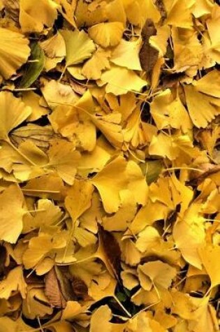 Cover of Ginkgo Biloba Leaves Fallen on the Forest Floor Journal