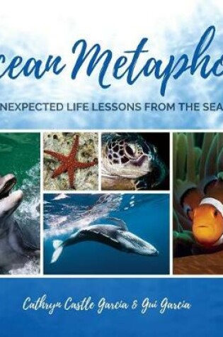 Cover of Ocean Metaphor