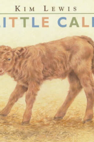 Cover of Little Calf Board Book