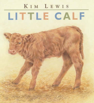 Book cover for Little Calf Board Book