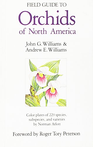 Book cover for Field Guide to Orchids of North America