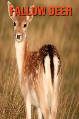 Cover of Fallow Deer