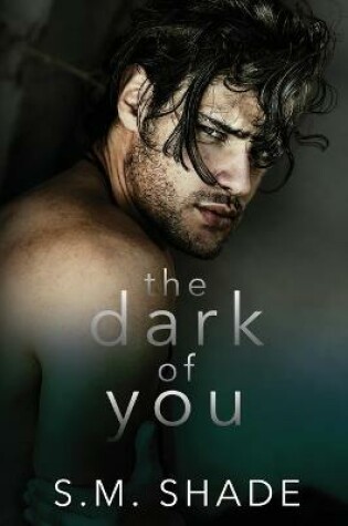 Cover of The Dark of You