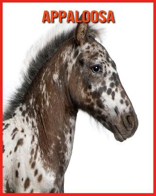 Book cover for Appaloosa