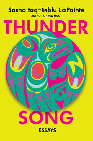 Book cover for Thunder Song