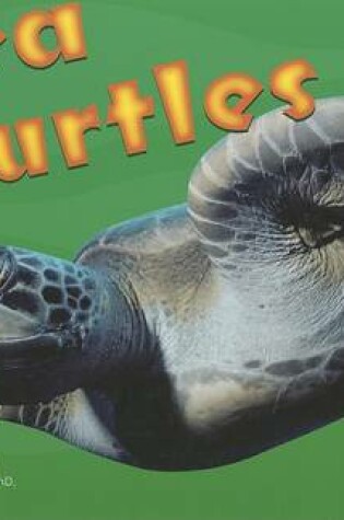 Cover of Sea Turtles