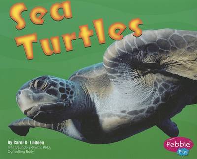 Cover of Sea Turtles