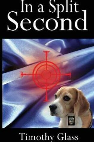 Cover of In a Split Second