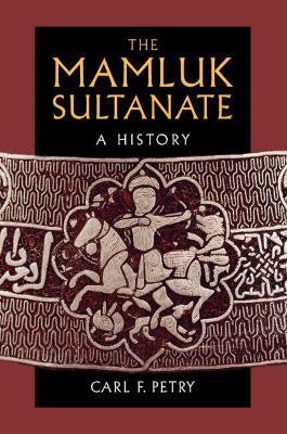 Book cover for The Mamluk Sultanate