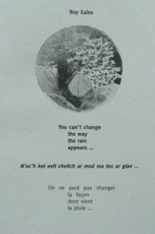 Cover of You Can't Change the Way the Rain Appears...