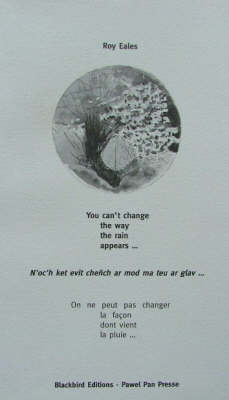 Book cover for You Can't Change the Way the Rain Appears...