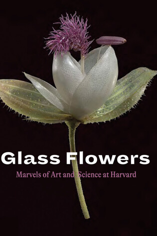 Cover of Glass Flowers