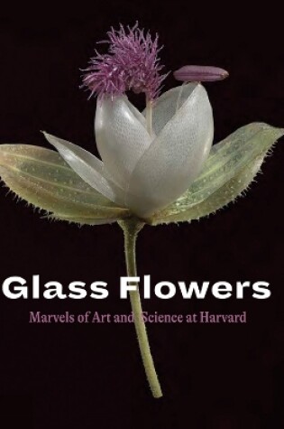 Cover of Glass Flowers