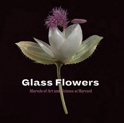 Book cover for Glass Flowers