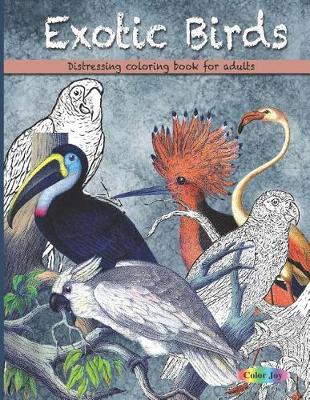 Book cover for Exotic birds